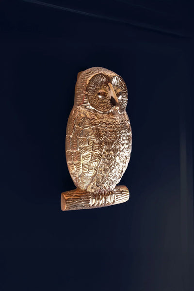 Owl Polished Brass Door Knocker