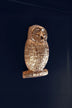 Gold owl cabinet handle by G Decor on dark background, luxury hardware home décor