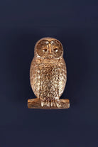Owl Polished Brass Door Knocker — alternate view, G Decor