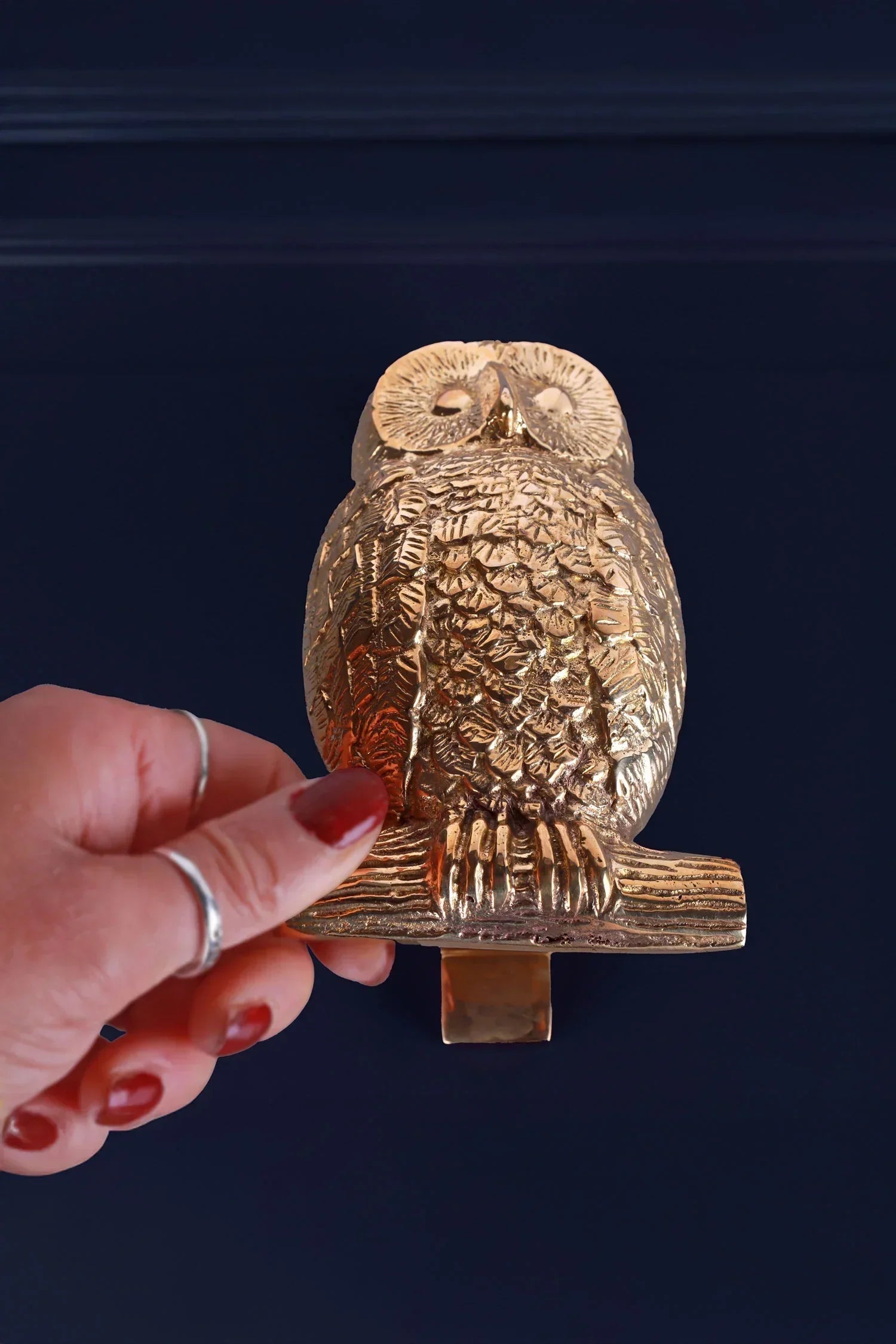 Owl Polished Brass Door Knocker — lifestyle view, G Decor