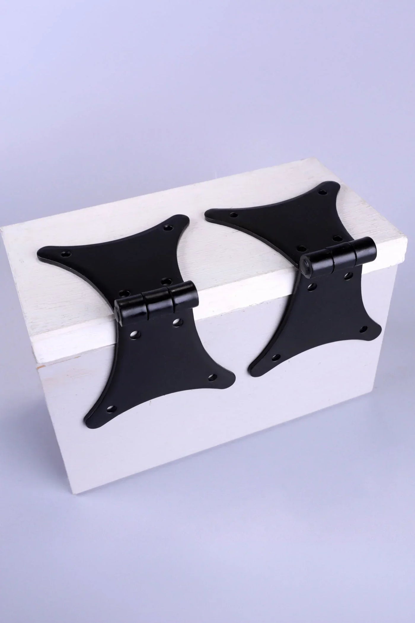 Pair of Hand-Forged Iron Butterfly Hinges in Black Finish