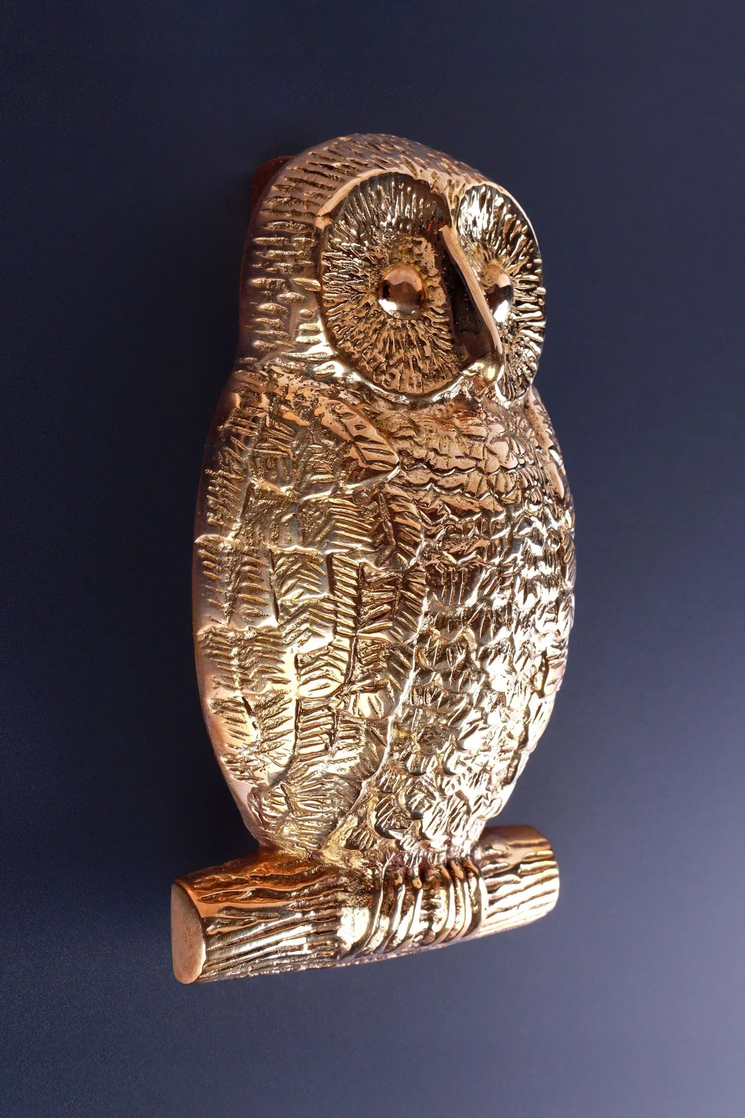 Owl Polished Brass Door Knocker — close-up view, G Decor