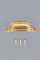 Deep scoop aged brass cup pull with its screws