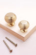 Beehive cabinet knob in polished brass, 32mm and 38mm, with solid brass fixing bolts