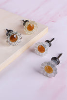 Daisy glass cabinet knobs with amber centres on antique brass finish bases: clear and ivory petals on a wooden board, frosted white and frosted grey petals below