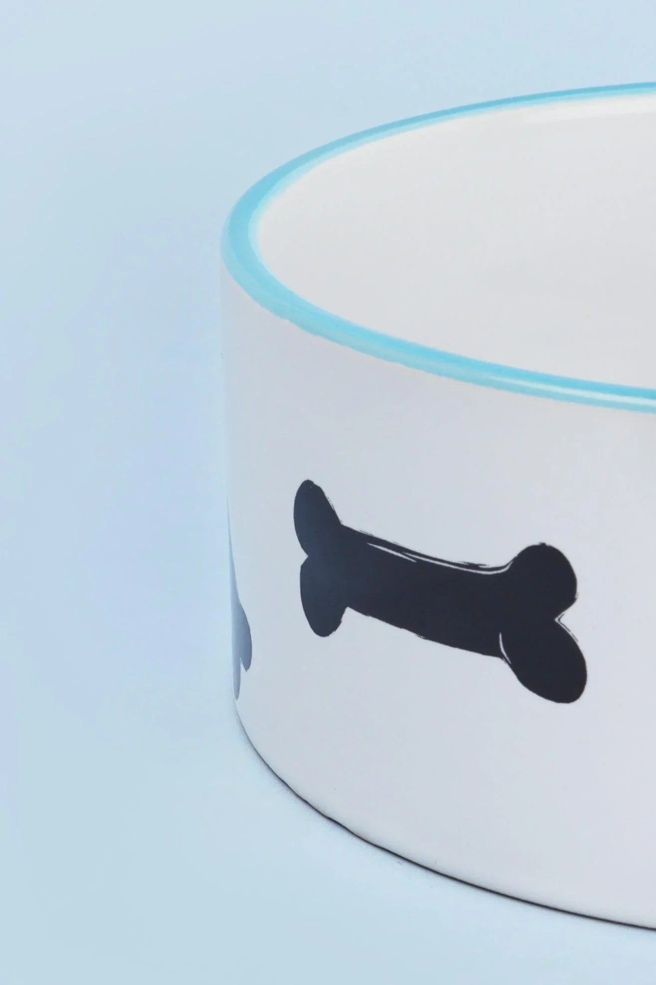 Doggy To-Do List Reminder Ceramic Pet Food Bowl — close-up view, G Decor