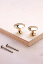 Flat cabinet knob in polished brass, 32mm and 38mm, with solid brass fixing bolts