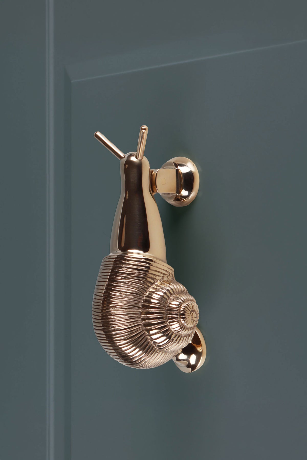 Snail polished brass door knocker on a slate front door