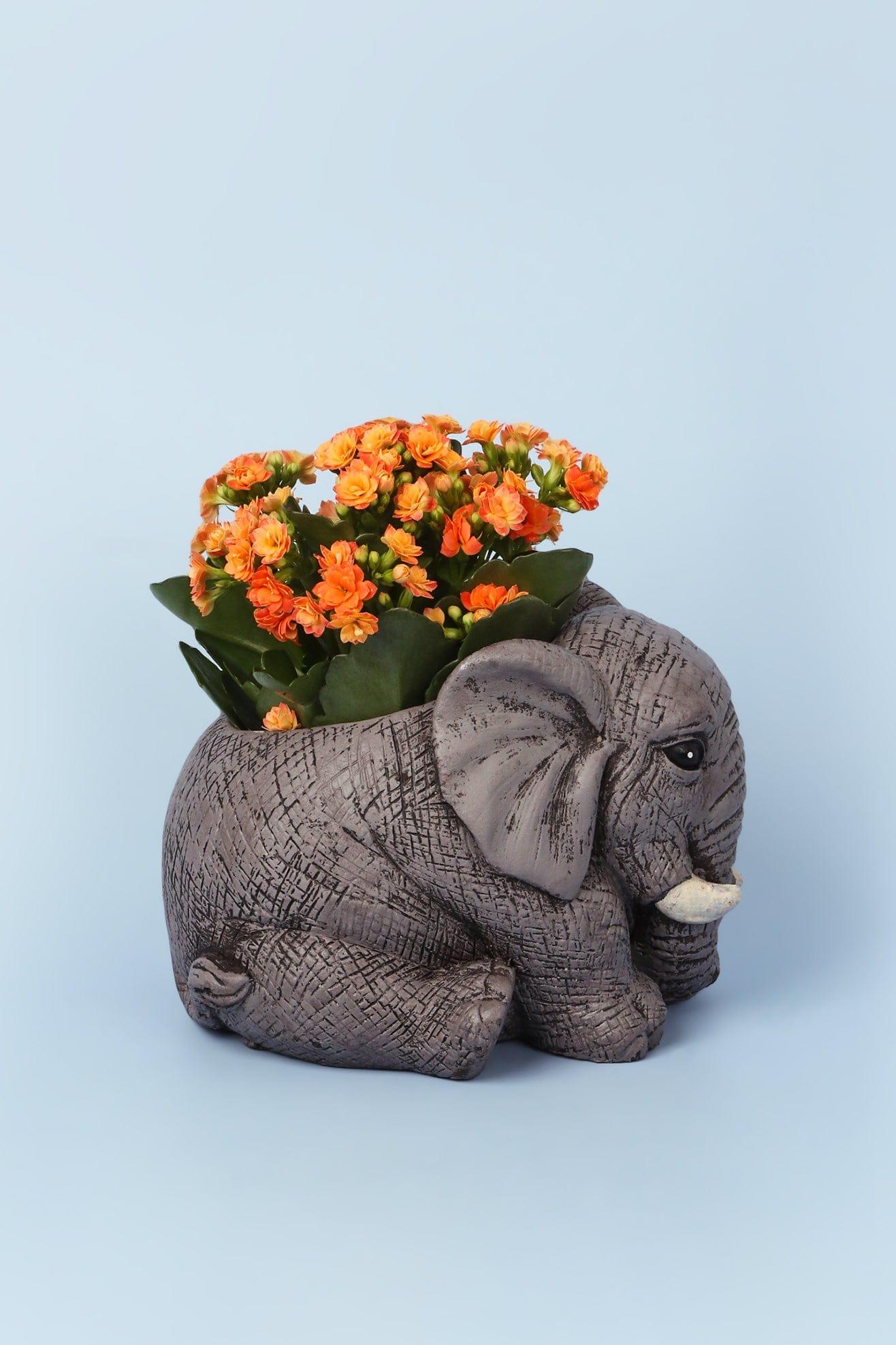 G Decor planters and vases Grey Grey Cement Elephant Planter