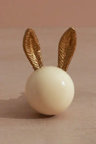 Brass and Porcelain Bunny Ear Cabinet Knob — close-up view, G Decor