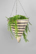 Large Cone Hanging Planter - G Decor