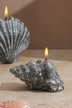 Ocean Tides Coastal Shell Scented Candle in Grey — close-up view, G Decor
