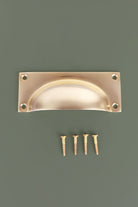 Bevelled plate cup pull in polished brass