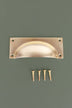 Bevelled plate cup pull in polished brass