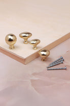 Cabinet knobs and backplates in polished brass, fifth view