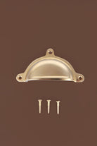 Classic cup pull in polished brass