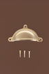 Classic cup pull in polished brass