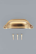 Deep scoop cup pull in polished brass
