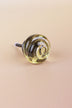 Ivory small rose glass cabinet knob, a pale champagne tint, with a swirl curling into the centre, on an antique brass finish base