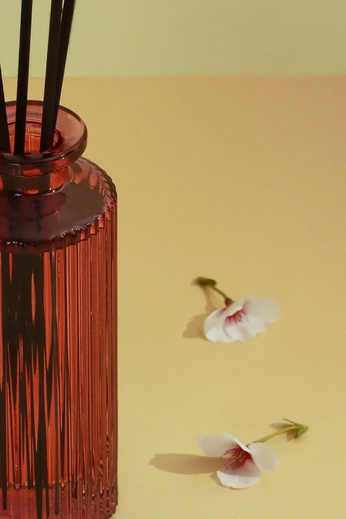 Sakura Blossom Scented Reed Diffuser with Gift Box - G Decor