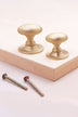 Oval cabinet knob on rose in satin brass