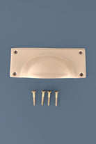 Rounded plate cup pull in satin brass