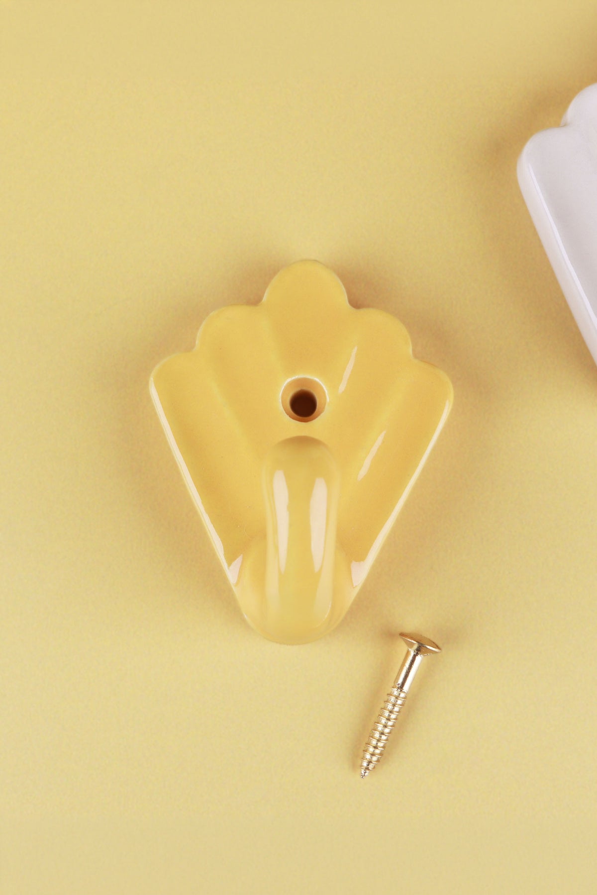 Yellow scallop shell ceramic wall hook, a warm butter yellow, with its brass screw