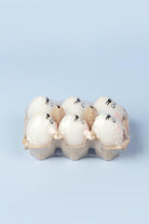 G Decor Candles White Set of 6 - Hoppy Easter Egg Candles - White