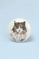 Sassy Meow Black and Gold Ceramic Cat Cabinet Knobs Set of 8 — close-up view, G Decor