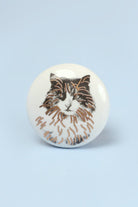 Set of 8 Black & Gold Ceramic Cat Door Knobs Sassy Meow Design - G Decor