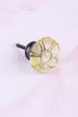 Ivory six-petal flower glass cabinet knob, a pale champagne-yellow tint, on an antique brass finish base