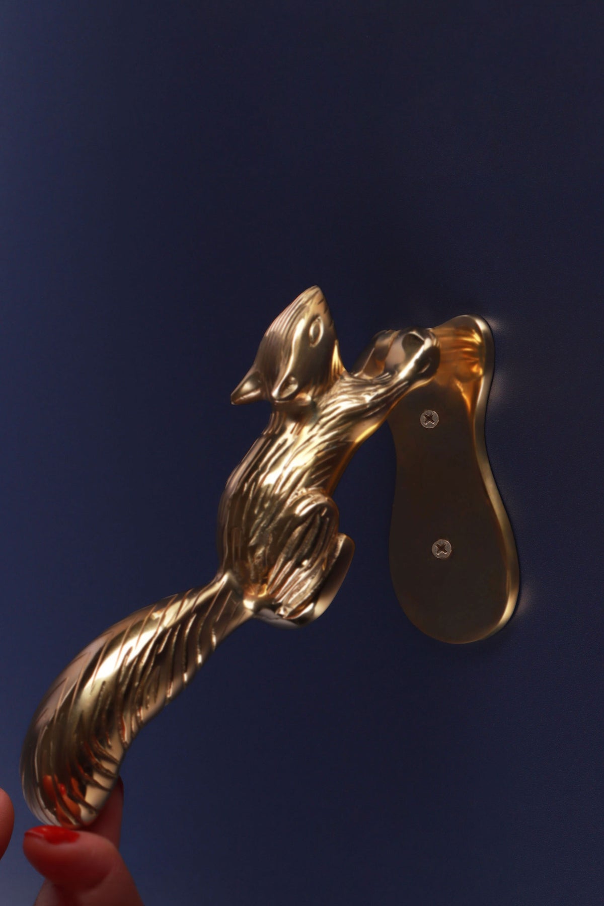 Hand lifting the brass squirrel door knocker by its tail, showing the shaped back plate and its two screws