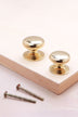 Victorian cabinet knob in polished brass, 32mm and 38mm, with solid brass fixing bolts