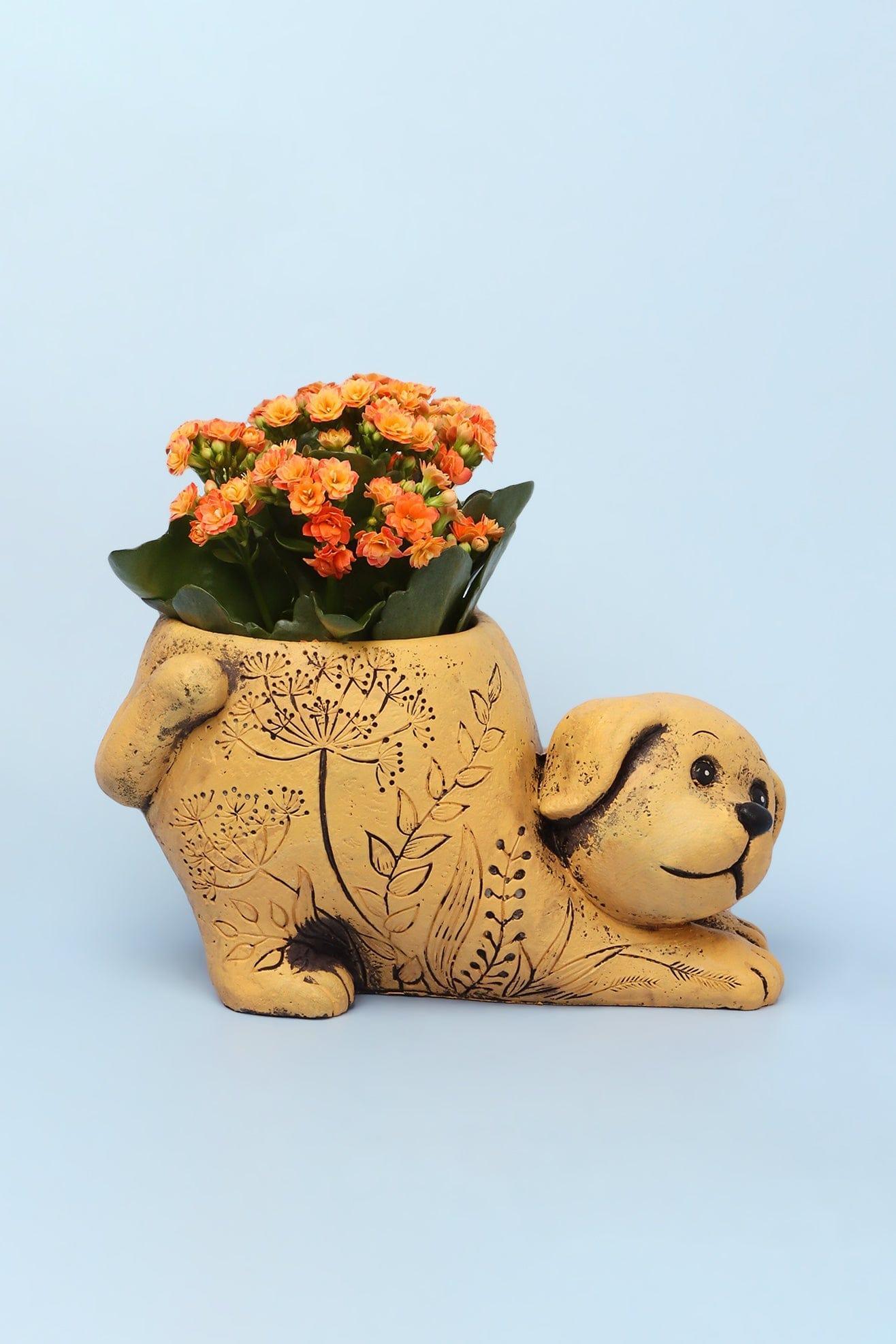 G Decor Orange Orange Dog Cement Planter