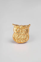 Owl Designer Cabinet Knob in Gold and Silver — close-up view, G Decor