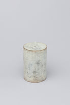 Fern Whitewashed Beige Antique Style Hand-Finished Pillar Candle - G Decor