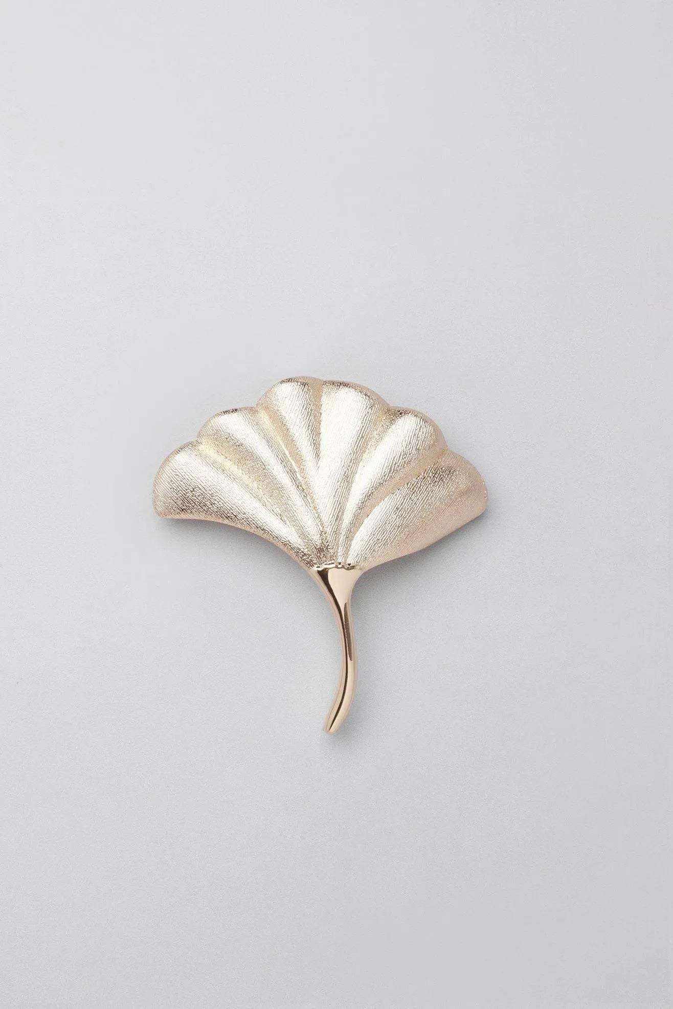 Fossil Ginkgo Cabinet Knob in Gold Matte — close-up view, G Decor
