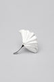 Fossil Ginkgo Silver Matte Door Knob - G Decor