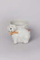 Percy Polka Dot Ceramic Dog Planter in Soft Grey — close-up view, G Decor
