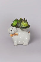 Percy Polka Dot Hand-Painted Ceramic Dog Planter in Soft Grey — G Decor