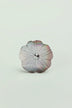 Blooming Mother of Pearl Cabinet Knob — lifestyle view, G Decor