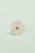 Blooming Mother of Pearl Cabinet Knob — close-up view, G Decor