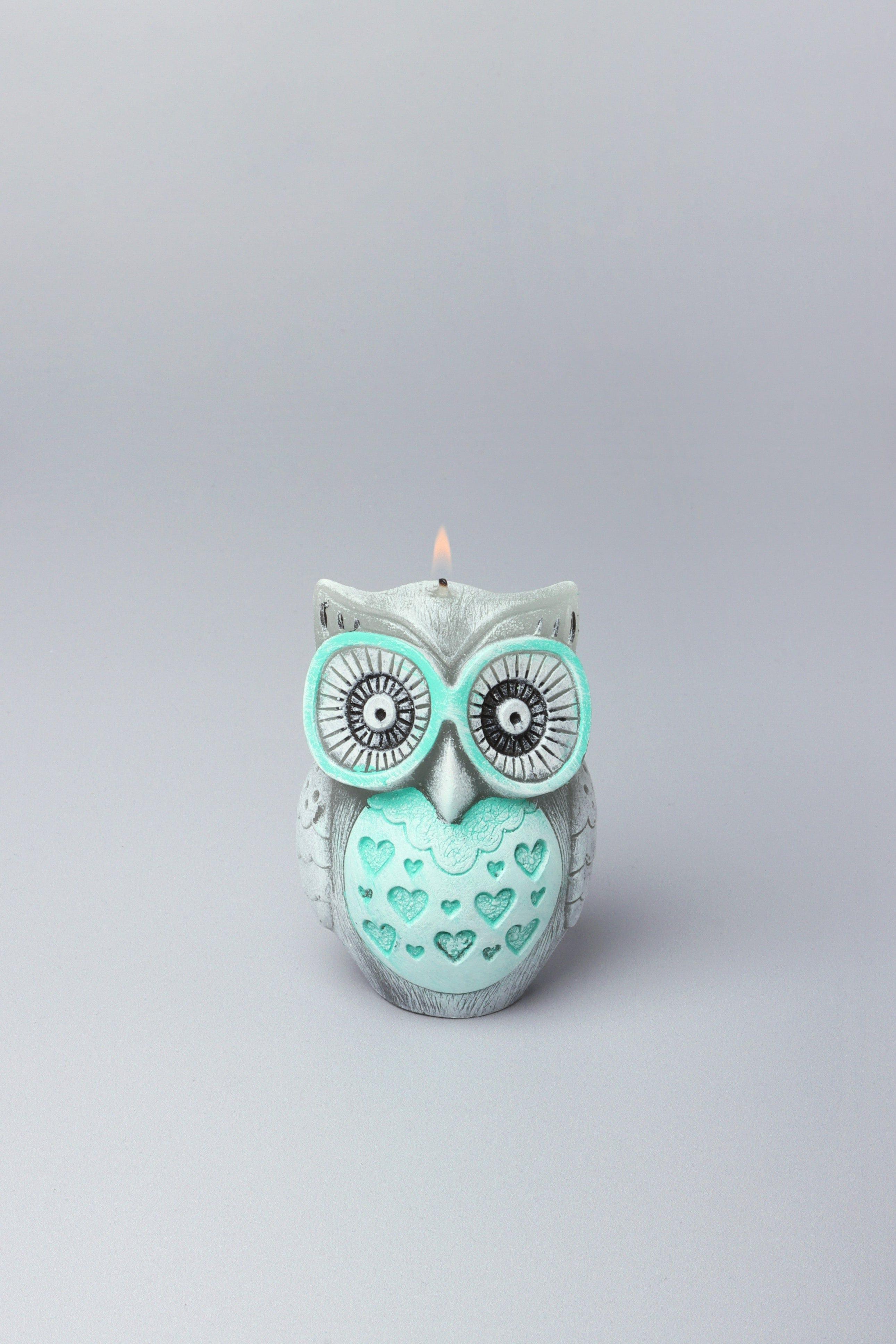 Handmade Hootique Owl Couple Candle Grey Owls with Wide Eyes - G Decor