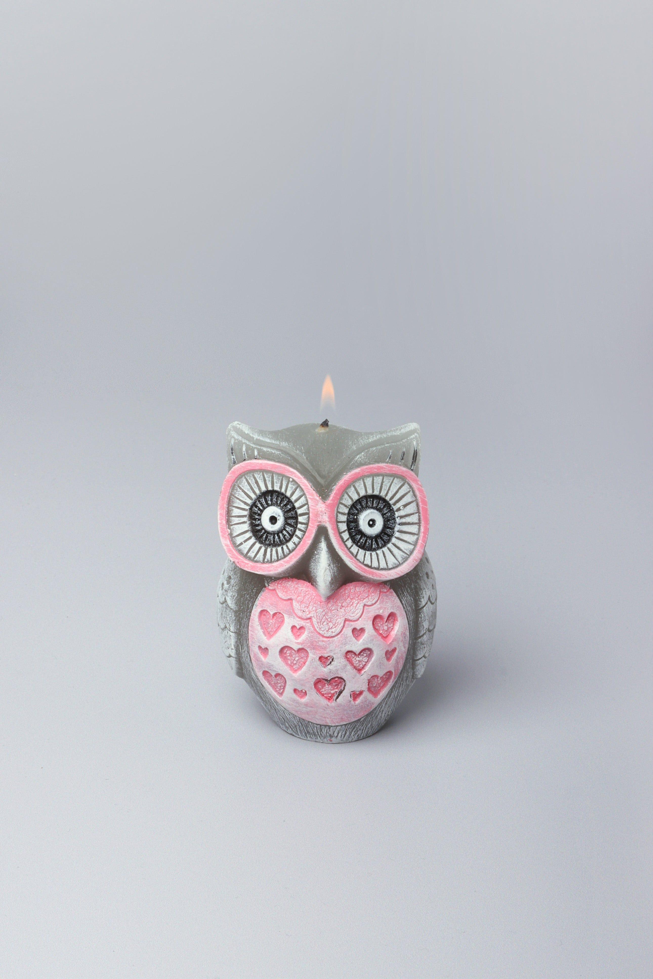 Handmade Hootique Owl Couple Candle Grey Owls with Wide Eyes - G Decor