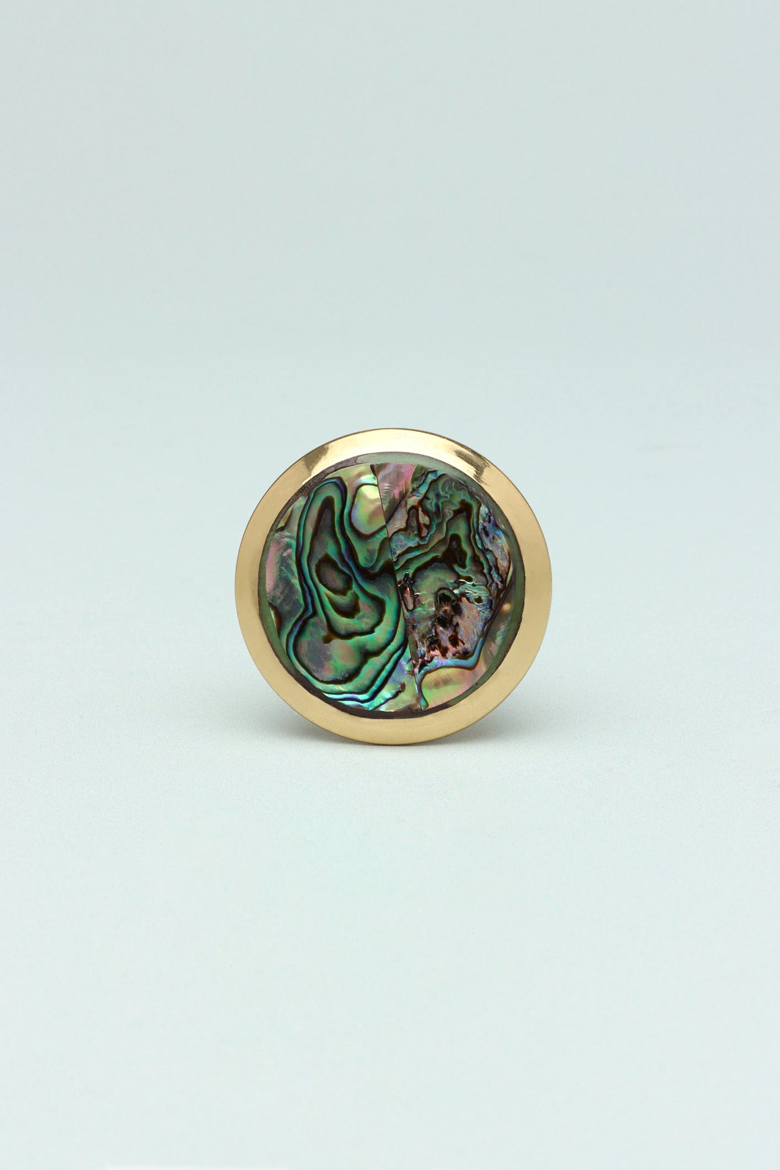 La Belle Mother of Pearl and Polished Brass Cabinet Pull Knob — alternate view, G Decor