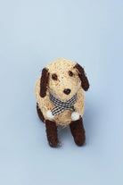 Handwoven Natural Fibre Dog Planter — alternate view, G Decor