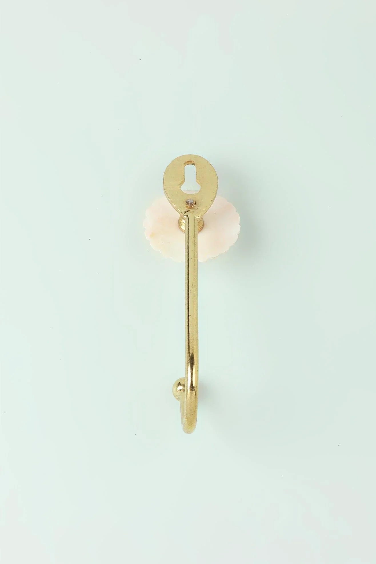 Petaline Mother of Pearl Wall Hook with Brass — close-up view, G Decor