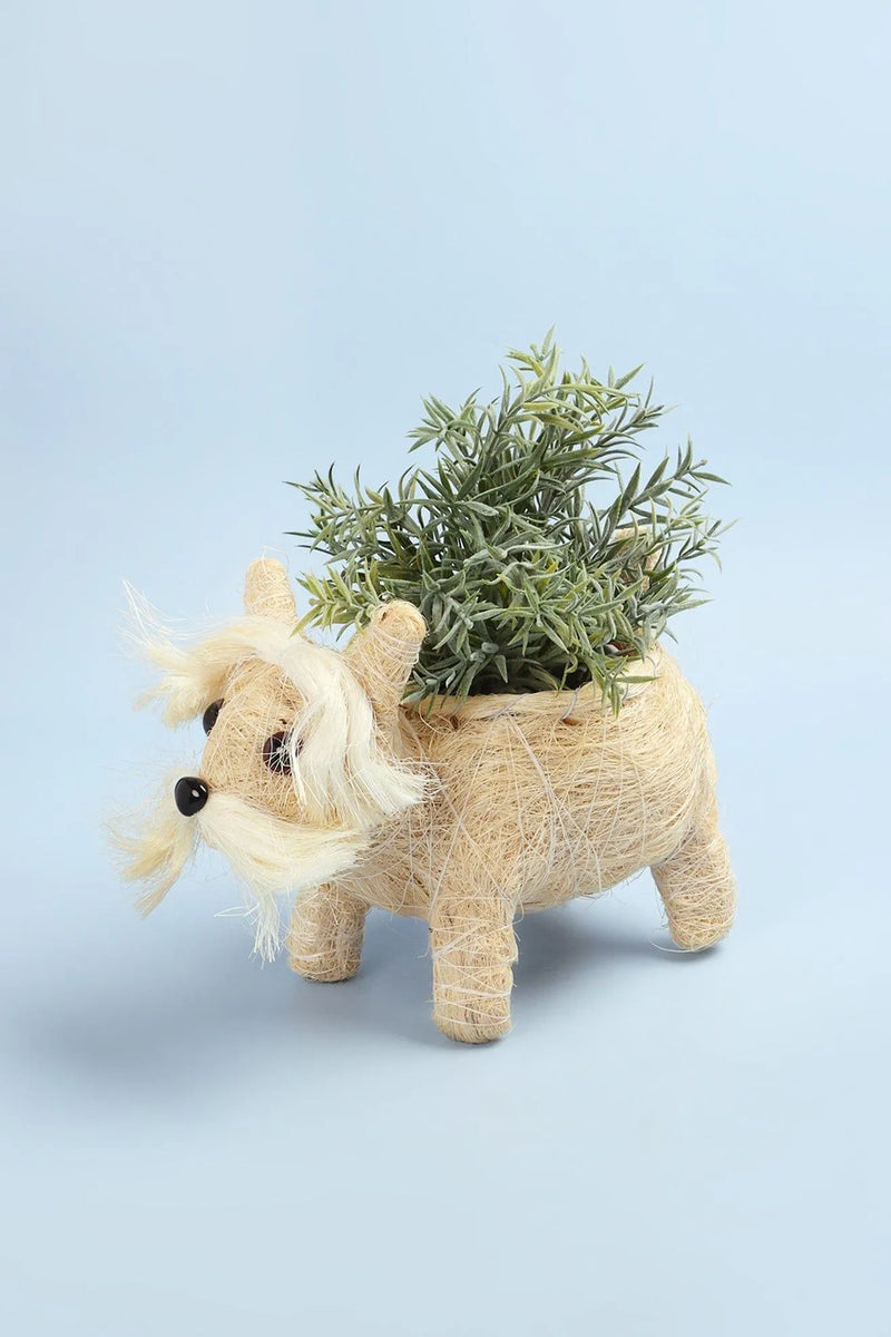 Handwoven Natural Fibre Scottie Dog Planter