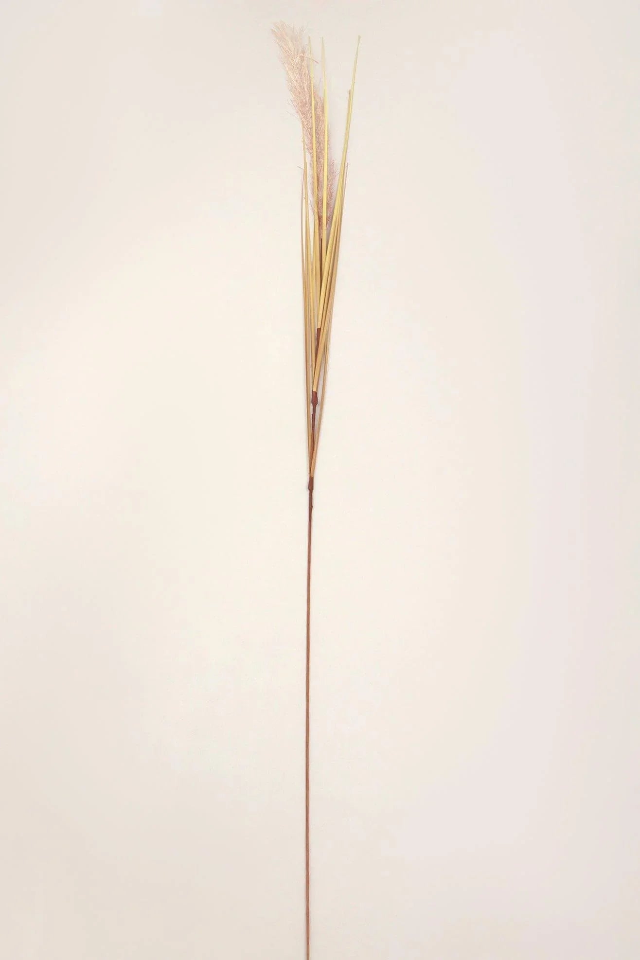 Set of 3 Extra Large Wild Grass Reed Stems — lifestyle view, G Decor