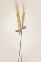 Set of 3 Extra Large Wild Grass Reed Stems — view 5, G Decor